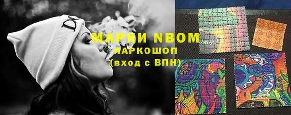 PSILOCYBIN Алзамай
