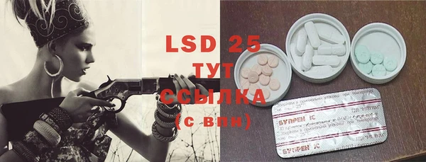 PSILOCYBIN Алзамай