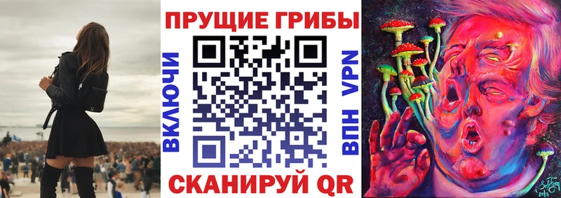 Псилоцибиновые грибы Magic Shrooms  гидра как войти  Нестеров 